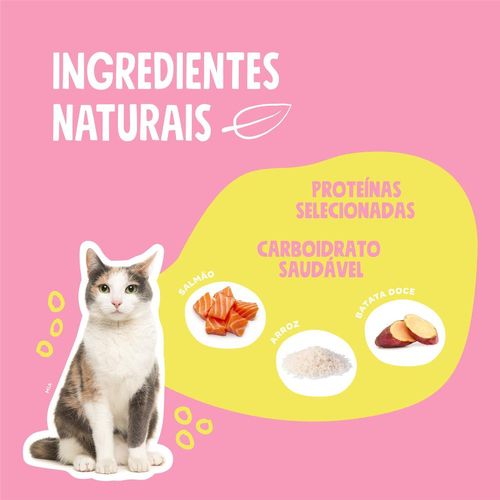 Kit Infantil Cats Gatinhos Jogo De Lençol + Cortina De Janela